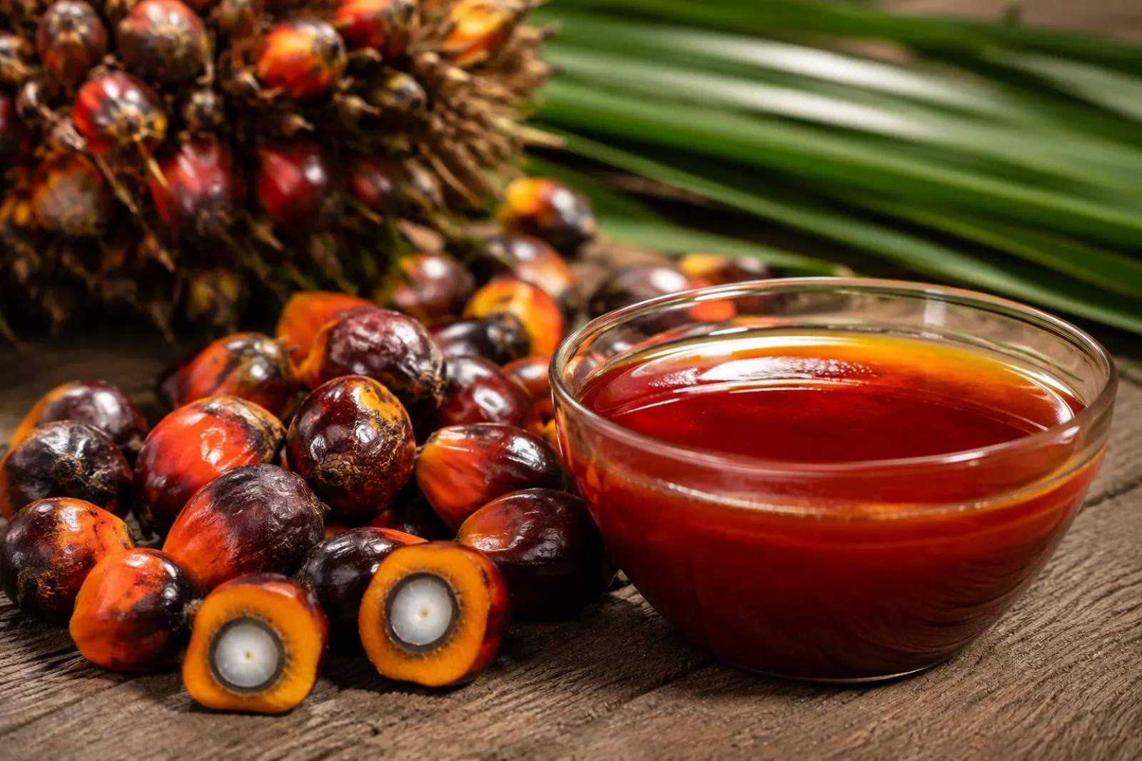 Palm fruits and crude palm oil macro shot